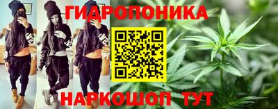 дурь Гусев