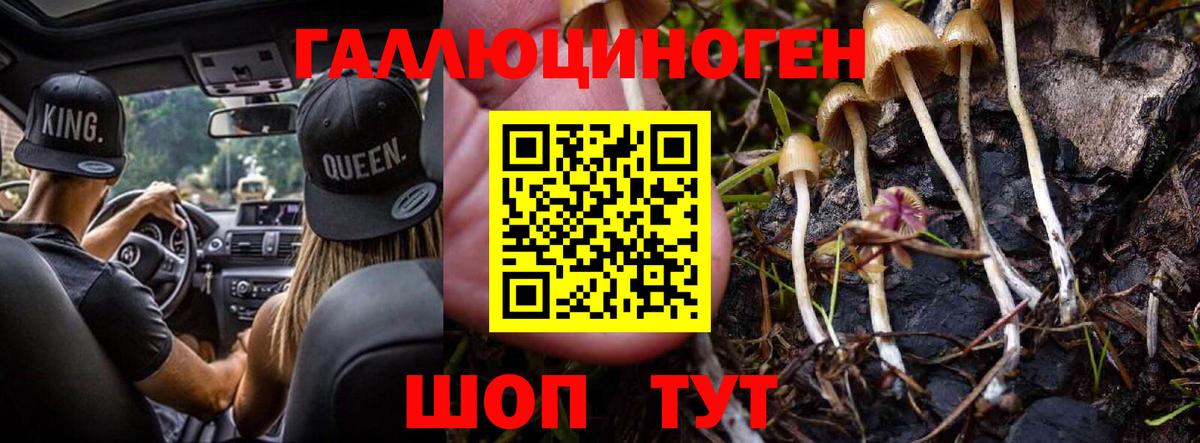 Галлюциногенные грибы мицелий  Вход с VPN  Галлюциногенные грибы Magic Shrooms  наркотики  Можайск 